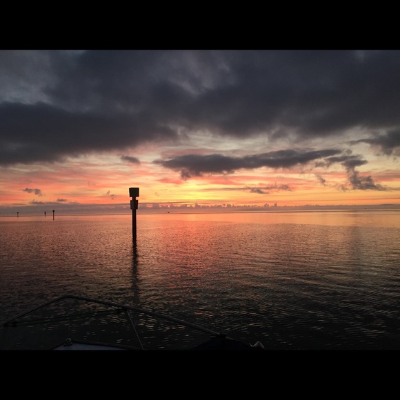 Meet your Posher, Julian - Picture 1 of 1